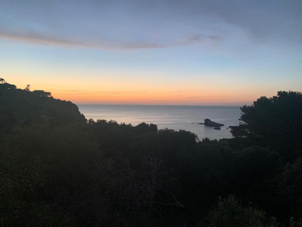Le Case Vacanze Di Federico Terrasini Extérieur photo